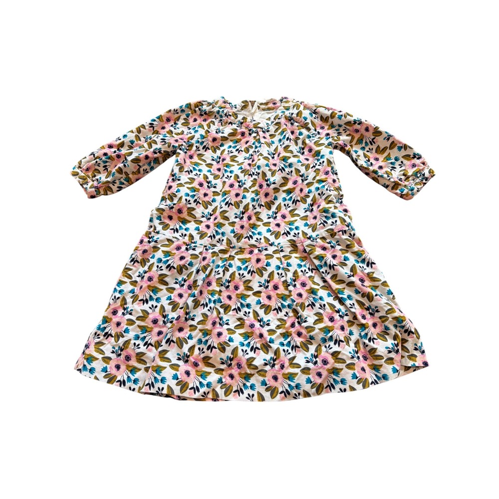 Egg by Susan Lazar Floral Drop Waist Corduroy Dress Pink Blue  4 years